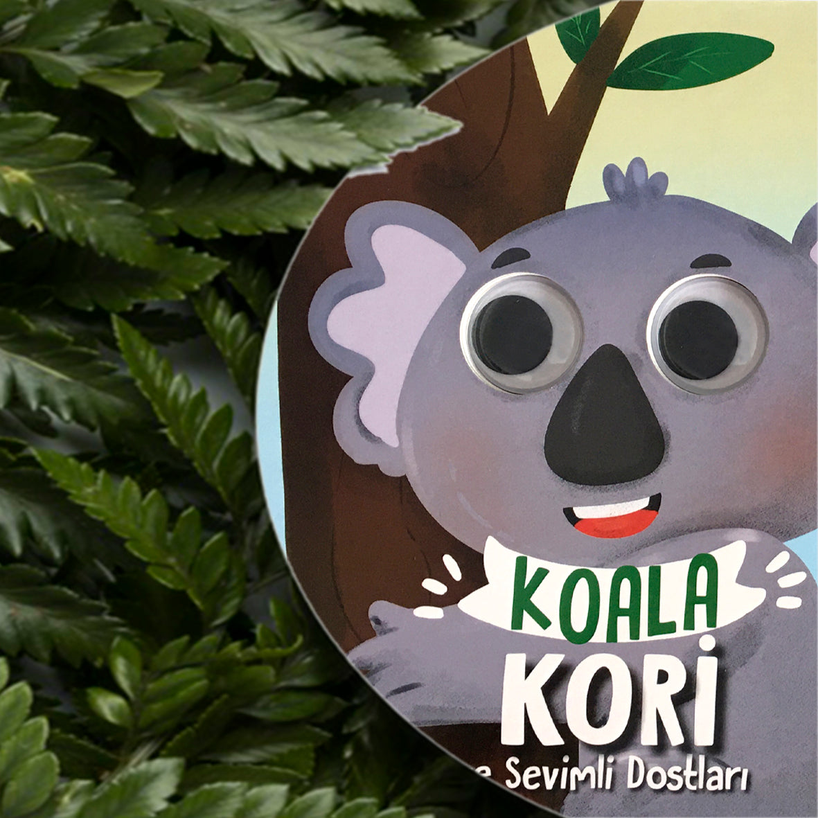 Koala Kori ve Sevimli Dostlar - Bu kocaman gözler kimin?