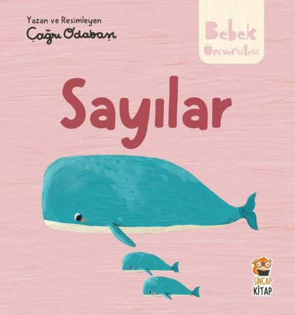 Bebek Üniversitesi / Hikayeli İlk Kavramlarım 2 (4 Kitap Seti)